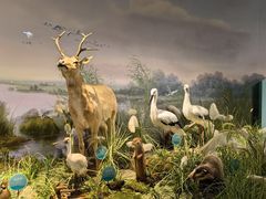 -湖南省地质博物馆