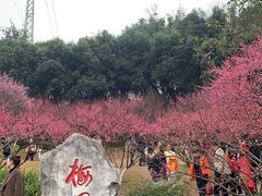 -重庆彩云湖湿地公园