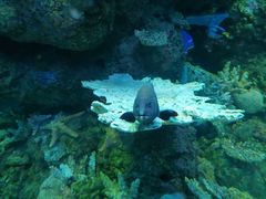 -成都浩海立方海洋公园