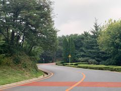 -棒棰岛宾馆景区