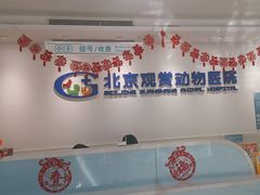 -北京观赏动物医院·24小时大型综合·猫专科·异宠专科