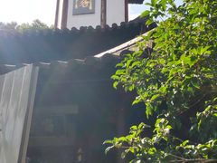 -上海佘山国家森林公园天马山园