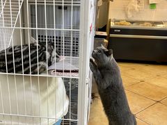 -Xian鲜趣人生(青湖印象名邸店)