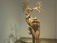 -苏州本色美术馆