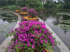 -白马涧龙池景区