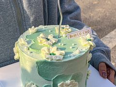 -勒甜LO CHO·定制低糖代糖纯动物奶油生日蛋糕(新开路店)