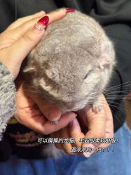 -Zoolung Zoolung动物主题公园(海信广场店)