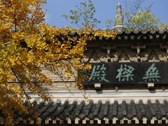 -灵谷景区