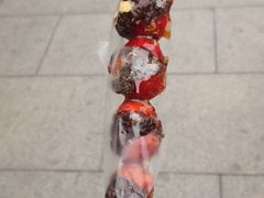 -糖葫芦王保定名吃(古莲花池店)