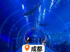 -成都浩海立方海洋公园