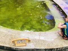 -南宫温泉水世界