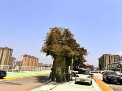 -赛格国际购物中心(小寨店)