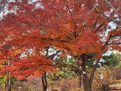 -国家植物园南园