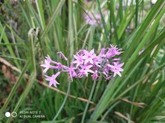 -白鹭湾湿地公园