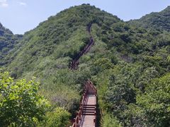-大岭沟猕猴桃谷风景区