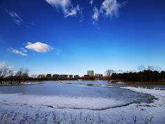 -大兴滨河森林公园