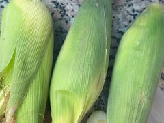 -南汇新场正宗水蜜桃采摘