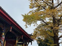 -金堂县云顶石城风景区