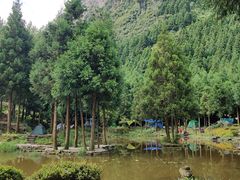 -重庆睡佛山森林公园