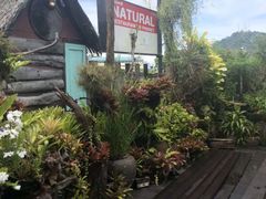-自然餐厅(Phuket)
