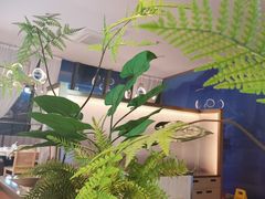 -马家斑.鲜鱼火锅(松湖万科店)