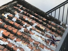 -漫笙舍Manse·咖啡·民宿