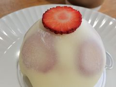 -猫里有甜