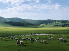 -塞罕坝国家级自然保护区