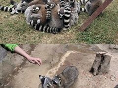 -杭州野生动物世界