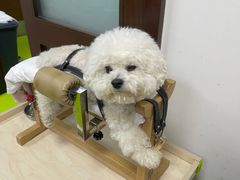 -美联众合动物医院·24h转诊中心