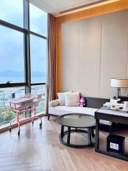 -巍阁月子中心(南山店)