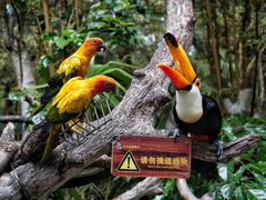 -广州长隆野生动物世界