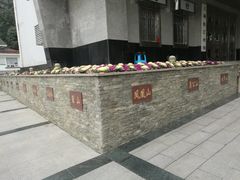 -上海佘山国家森林公园西佘山园