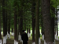 -艾溪湖湿地公园