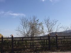 -北京鹫峰国家森林公园