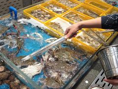 -半岛听涛蒸汽海鲜自助(K11店)