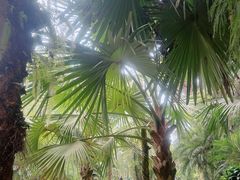 -杭州半山国家森林公园