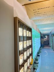 -阅年轻·AI家庭健康体质调理