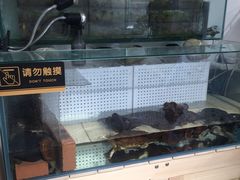 -甜心闲生传统手工冰粉(奎星楼店)