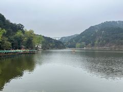 -黔灵山公园