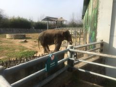 -西安秦岭野生动物园