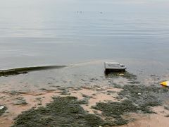 -烟台金沙滩海滨公园