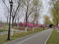 -永定河休闲森林公园