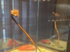 -曲水兰亭(北京四惠店)