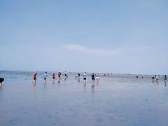 -南汇嘴观海公园