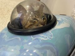 -拜鲁耶动物诊疗中心·宠家动物医院