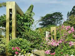 -白石龙音乐公园