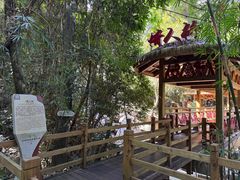 -海南霸王岭国家森林公园