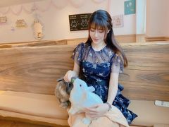 -猫猫幼稚园·撸猫·桌游·电玩