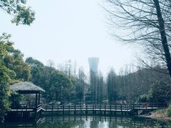 -上海滨江森林公园